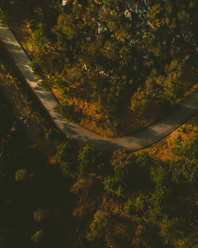 Route sinueuse à travers forêt automnale vue aérienne.