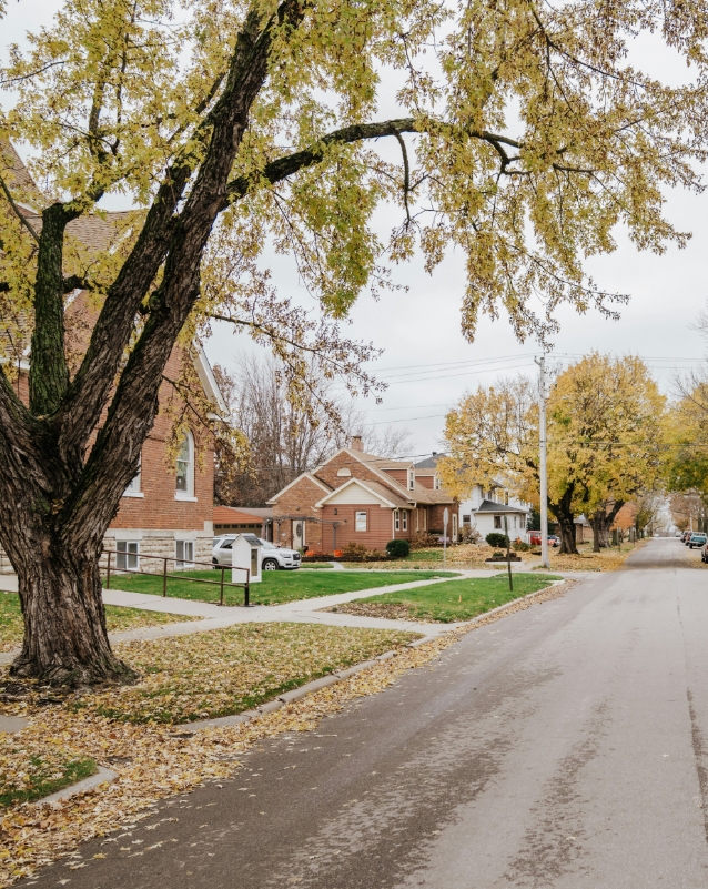Rue résidentielle en automne avec maisons et arbres