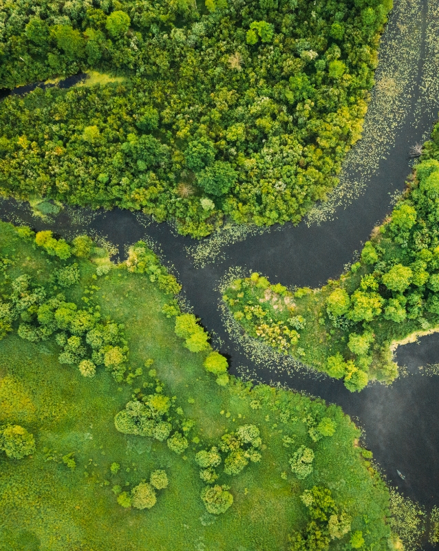 Vue aérienne d'une rivière sinueuse et forêt luxuriante.